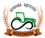 Logo Panciera